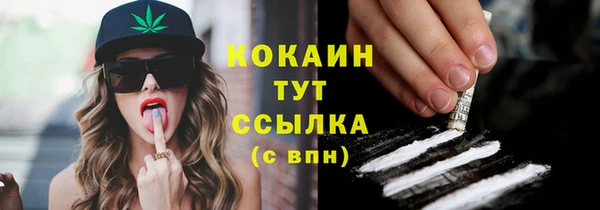 тгк Богданович
