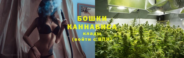 тгк Богданович